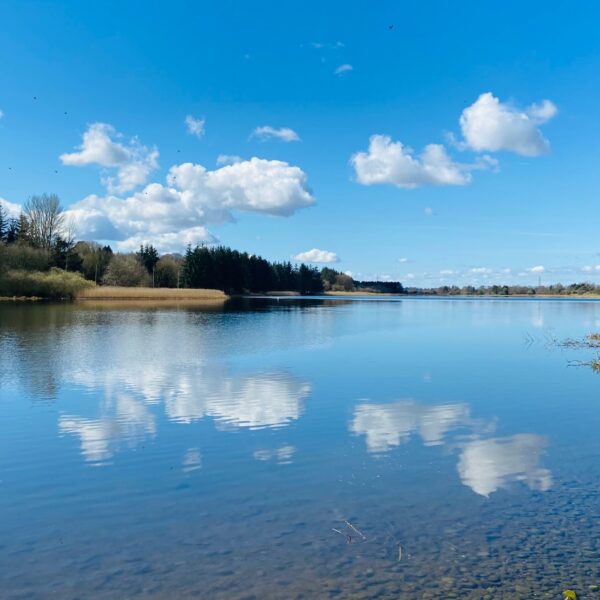 Walking and Experimental Mark-Making in Response to the Landscape Around Forfar Loch